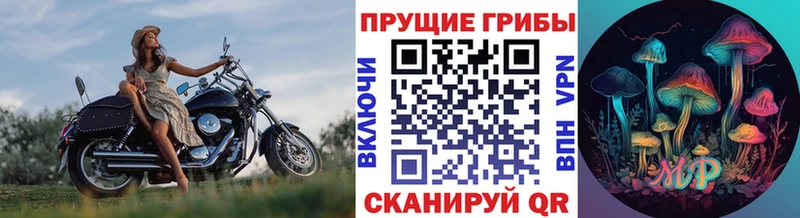 Галлюциногенные грибы Magic Shrooms  купить наркотики цена  Николаевск 